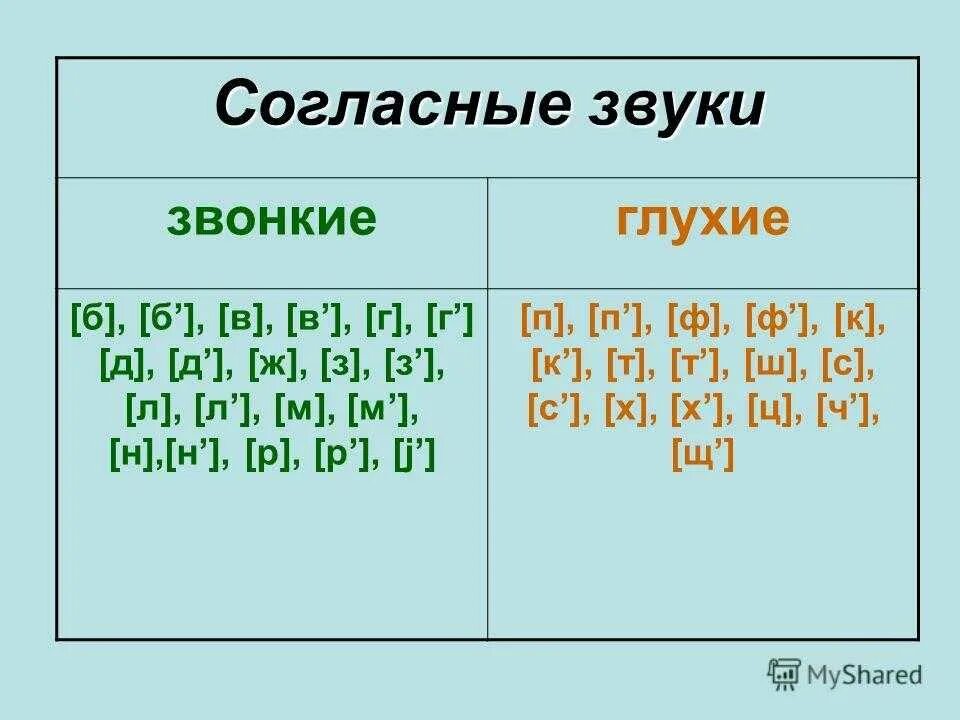 Звонкие согласные в слове природе