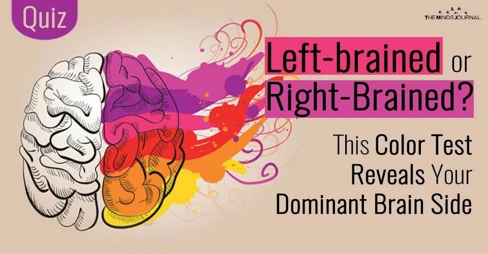 Leave the brain. Right or left Brain Quiz. Left Brain right Brain. Brain Quiz. Quiz Colors.