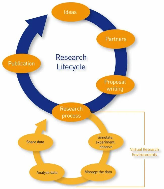 D process. Data lifecycle. research stages. stages of research process. менеджмент.