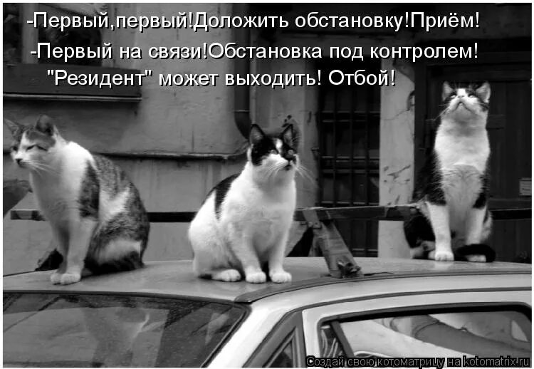 Доложить значение
