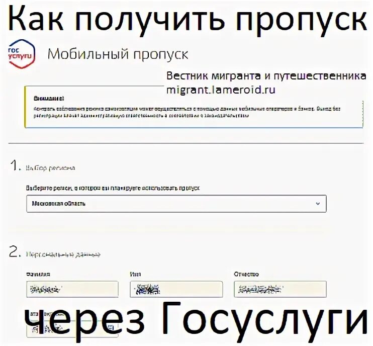 Где оформить пропуск. Пропуск в Ивангород через госуслуги. Пропуск Московская область госуслуги. Оформить пропуска через госуслуги