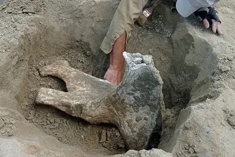Находки археологов 2024