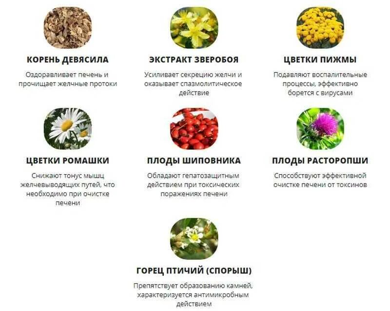 Польза для печени и желчного. Продукты для регенерации печени. Полезная еда для печени. Что полезно для печени. Пища для восстановления печени.