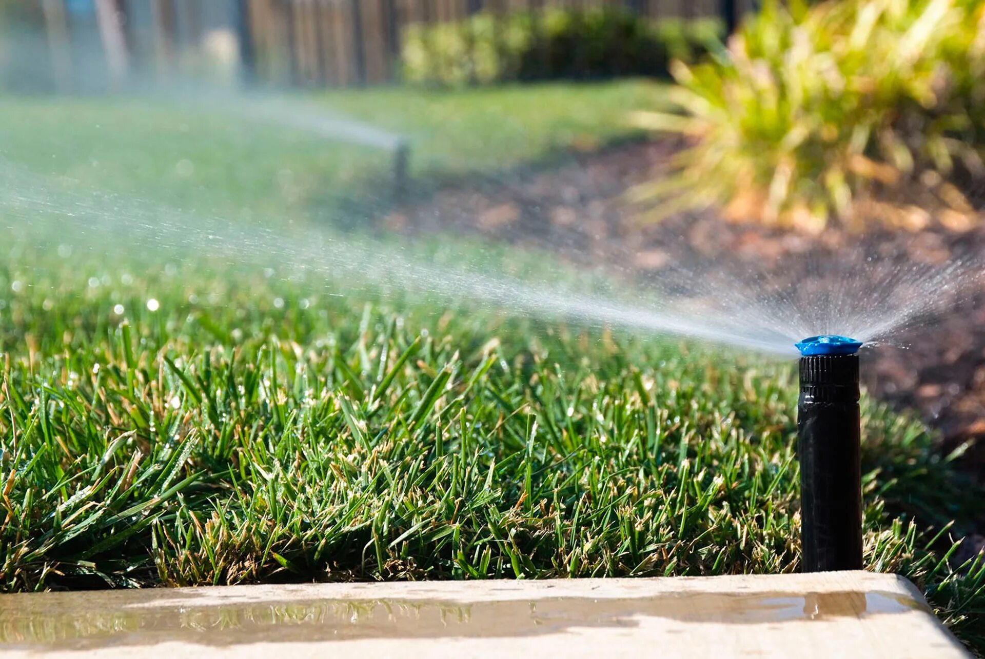 Спринклер капельный полив. Автополив Irrigation. Garden Drip Irrigation Systems. Поливочная система для газона. Полив сладкой водой