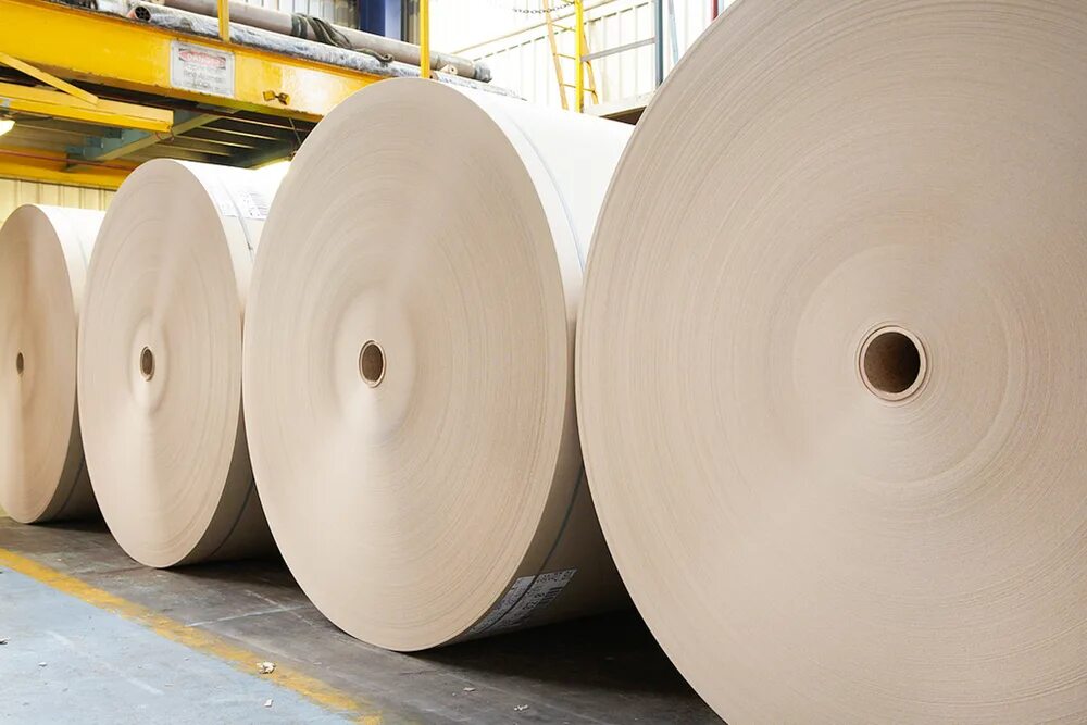 Pulp and paper. Пульпа бумага. pulp board. pulp paper thunder bay. paper pulp in bales open air storage.