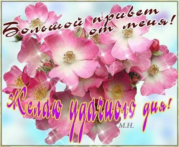 Доброго дня наташенька. Добрый день наташенька. цветы для наташи открытки. лучшие цветы для наташи. хорошего дня наташенька открытки.