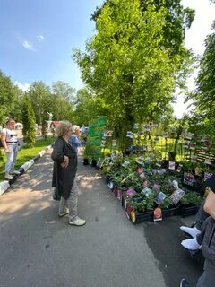 Рынок в новомосковске тульской