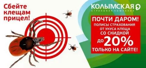 Страхование от укуса клеща