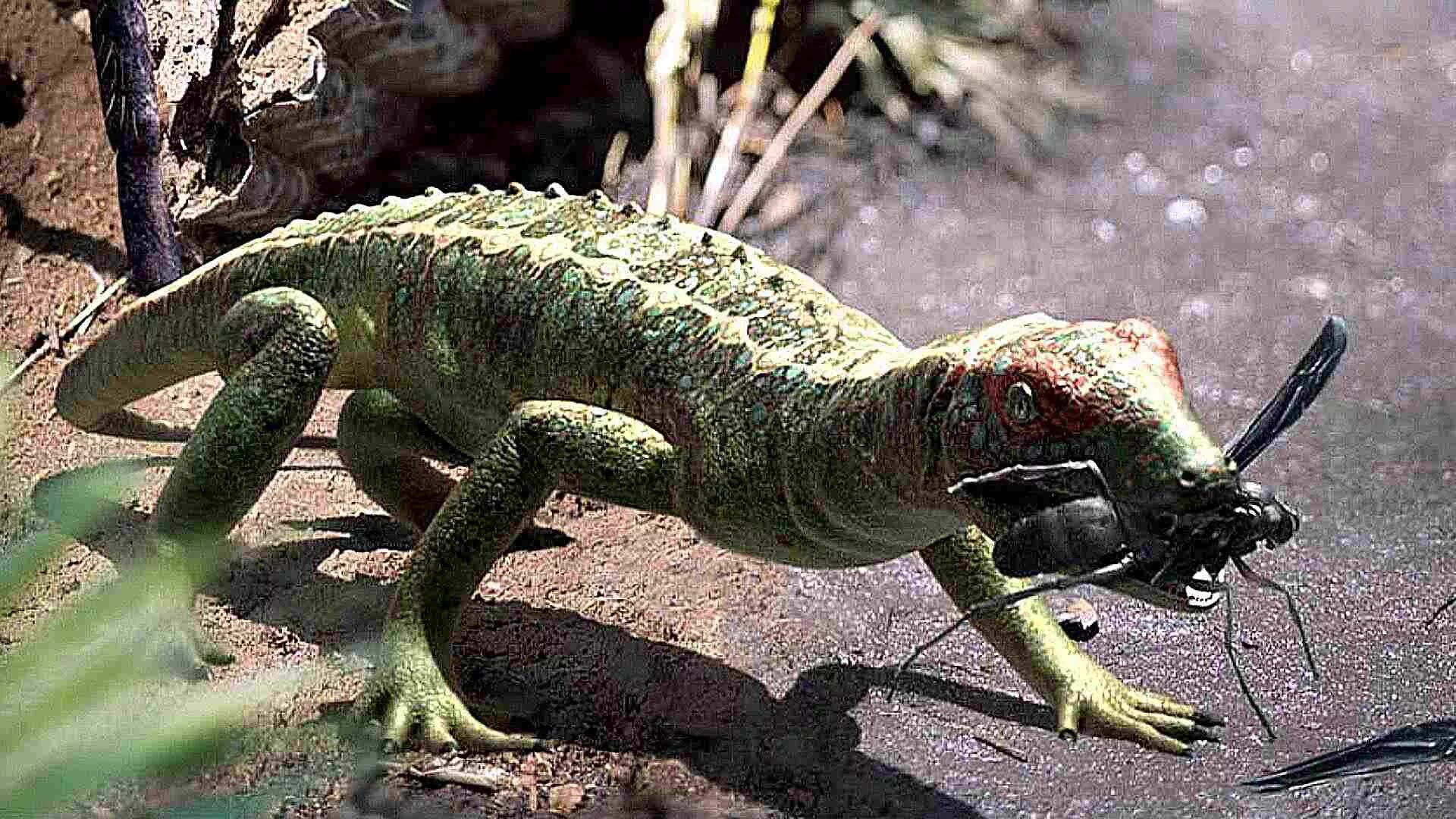 Petrolacosaurus Kansensis. Петролакозавр прогулки с монстрами. Клювоголовые пресмыкающиеся. Хилономус рептилия. Вымерший ящер