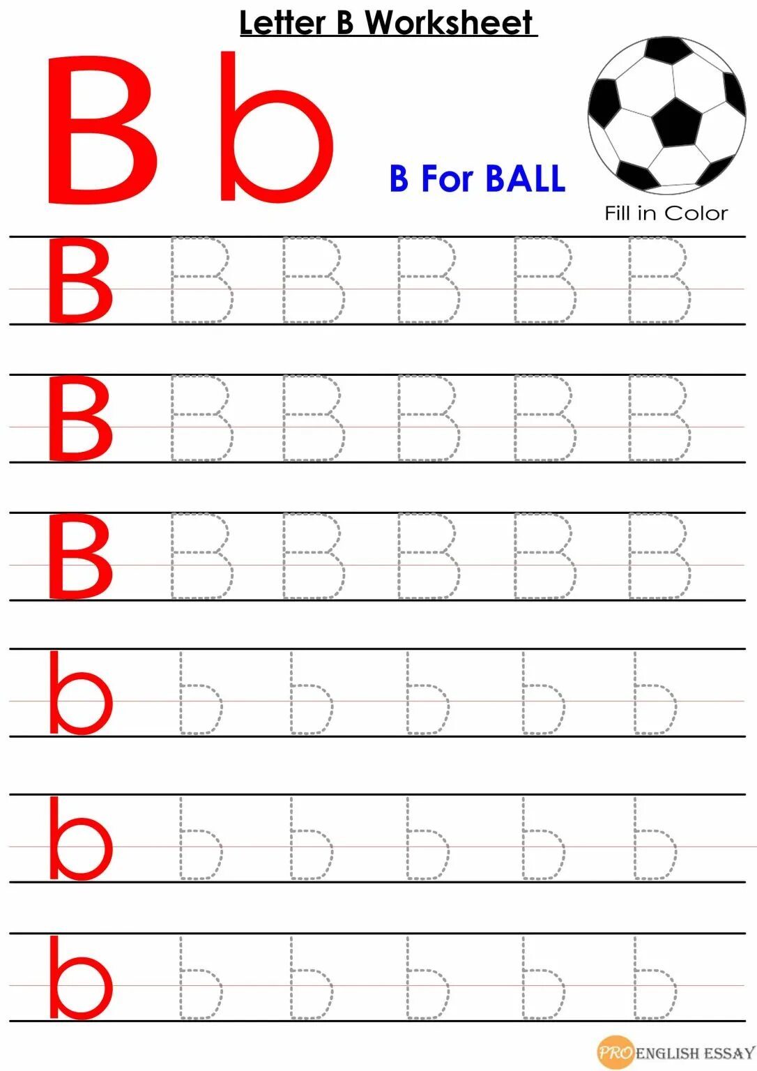Letters worksheets. Животные на английском задания. Животные worksheets. English adventure starter a activity book. Letter d dots.