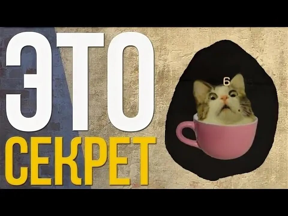 Кот пасхалка. Кот в чашке стандофф. пасхалка котик в кружке. котик в кружке стандофф. кот в кружке стандофф 2.