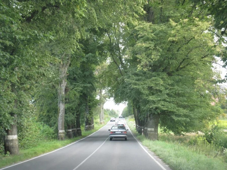Бальга, 2008 год (10 фото - Калининградская область, Россия) - ФотоТерра