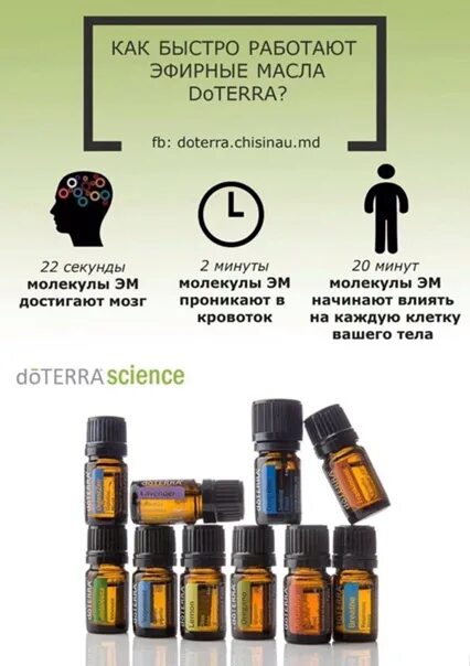 Дозировки эфирных масел ДОТЕРРА. Сырье для производства эфирных масел. Брошюра эфирные масла. Маркировка эфирных масел ДОТЕРРА. Эфирное масло инструкция по применению