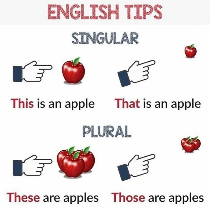 Did you know that there s a. Правило в английском языке this that these those. указательные местоимения this that these those правило. these those this that англ яз правило. that this these those правило таблица.