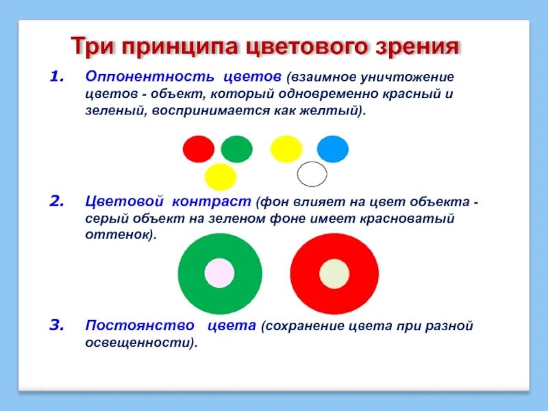 Принцип зрения. Строение оптической системы глаза. Принцип действия человеческого глаза. Механизм аккомодации глаза схема. Строение хрусталика и сетчатки глаза.