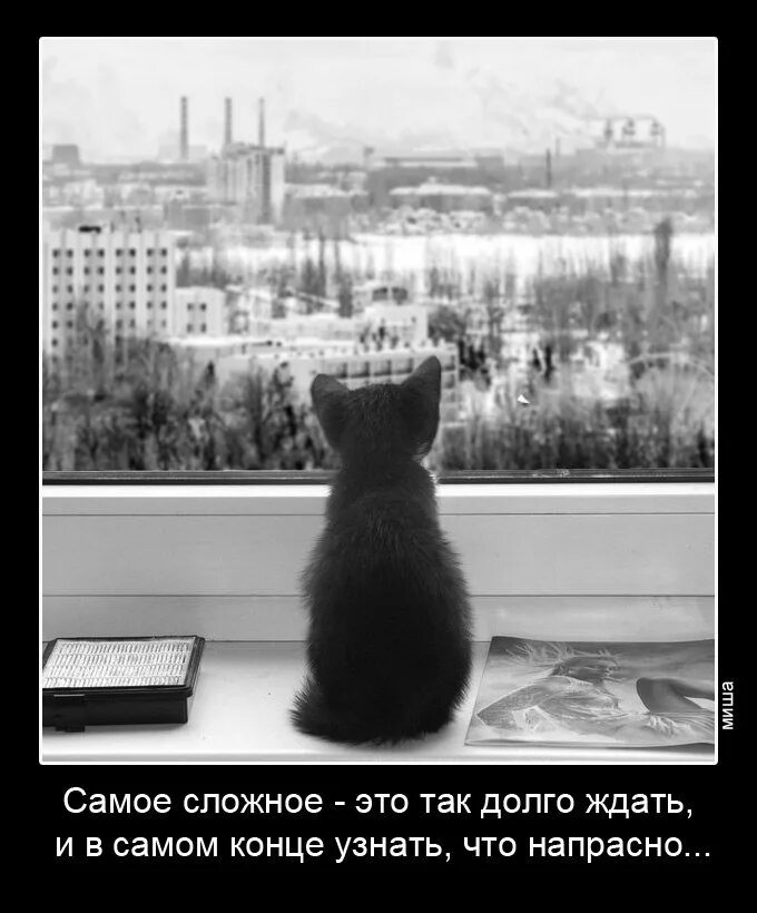 Чего так долго ты ждала. Чего так долго ты ждала. Я так долго тебя ждала. Я жду тебя. Чего так долго ты ждала.