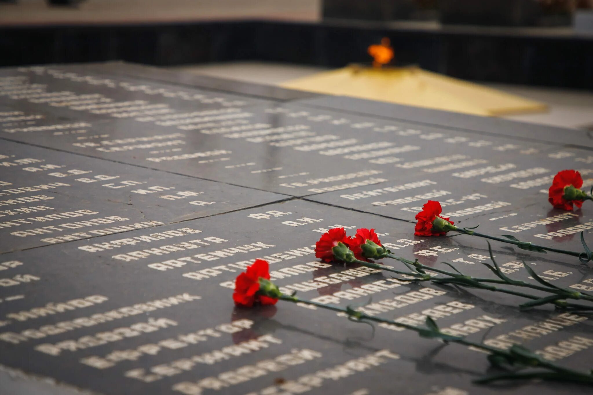 Дорога памяти то. День неизвестного солдата. Дорога памяти. Проект увековечение памяти. Гвоздики на мемориале.