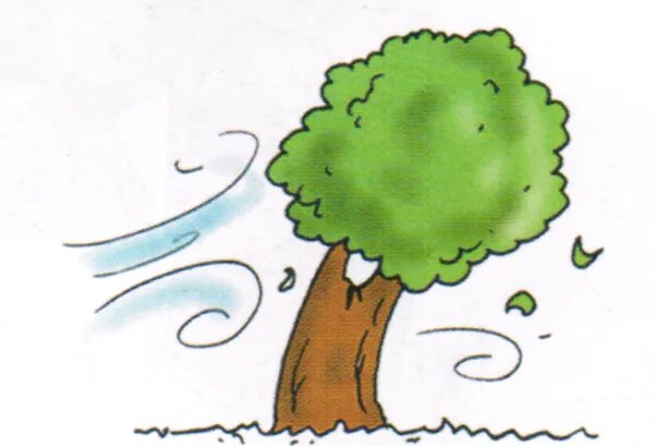 Windy weather. Windy flashcards. Spotlight 2 it's windy карточки. Ветер мультяшка. Windy рисунок.