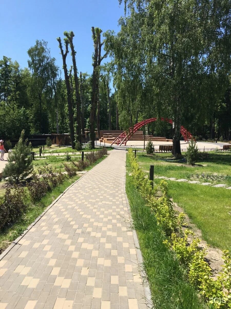 Парк авангард зеленодольск. Парк соловьиная роща. Парки зеленодольска. Парки зеленодольска. Парк победы зеленодольск татарстан.