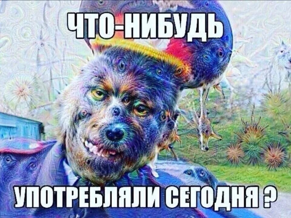 Что-нибудь употребляли сегодня.