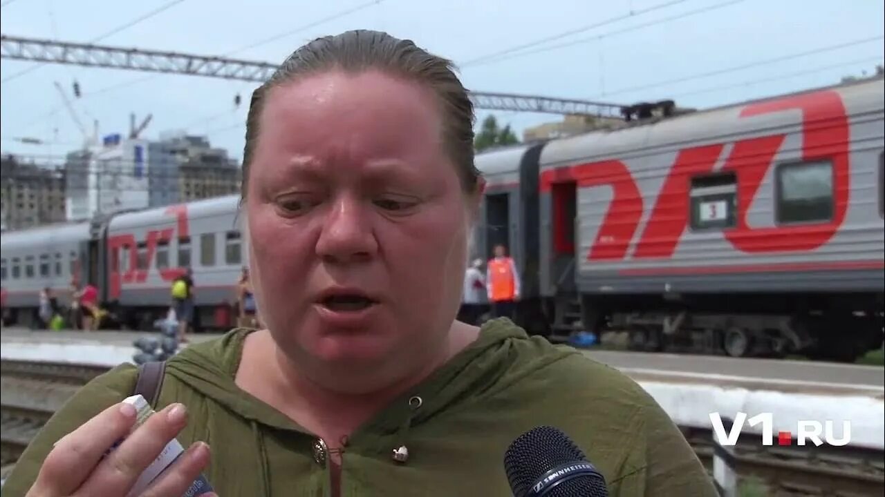Pleasure train
