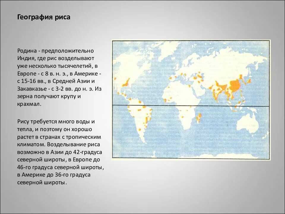 Рис главные страны. Распространение риса. Главные районы возделывания риса. География риса. Ареал распространения риса в мире.