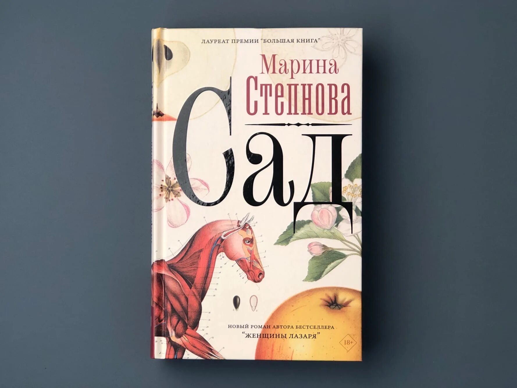 Степнова книги отзывы. Сад книга Марины Степновой.