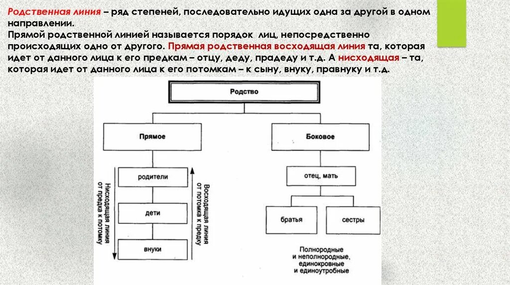 Родственниками родственниками по прямой восходящей. Родство по восходящей линии. Восходящая и нисходящая линия родства. Родство по прямой восходящей и нисходящей линии. Прямое и боковое родство.