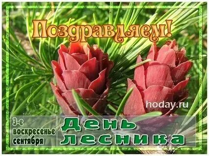 День лесника усть илимск
