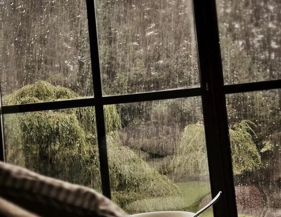 He made me the window