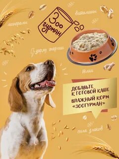 1 собакам каша