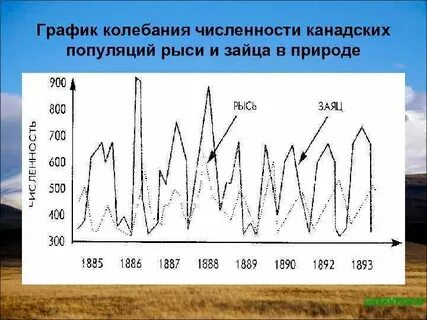 Изучение численности популяции по годам метод