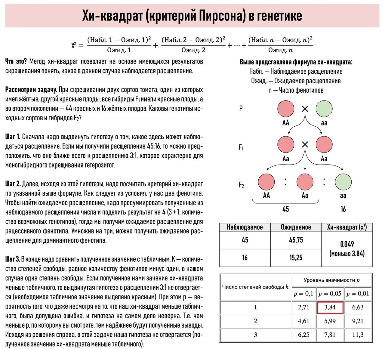 Курс по генетике. Критерий Хи квадрат генетика. Задачи по генетике с квадратиками. Задачи по генетике таблица. Таблица Хи квадрат генетика.