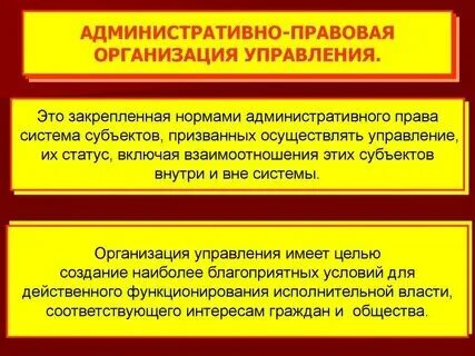 Организационный принцип административной деятельности