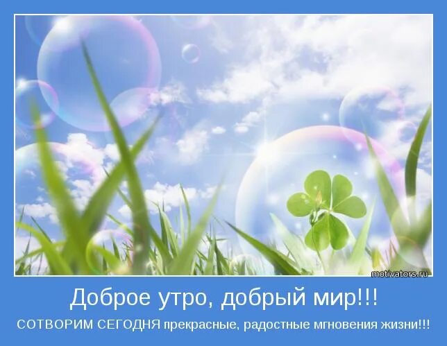 Добрый м р