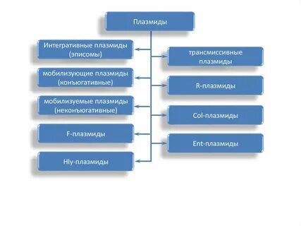 Виды плазмид микробиология
