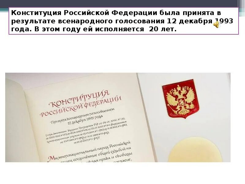 Всенародное голосование по конституции 1993. Всенародное голосование по конституции 1993