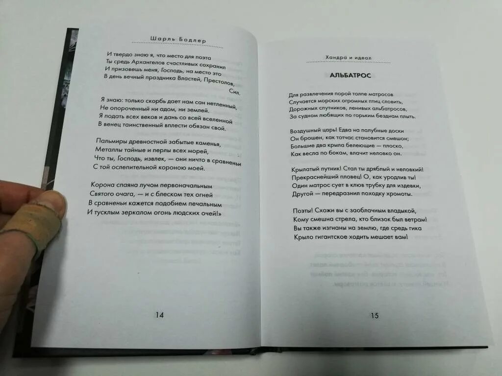 Бодлер цветы зла читать. Альбатрос стихотворение бодлера. бодлер стихи о любви. стихотворение альбатрос шарль бодлер. бодлер альбатрос на русском.