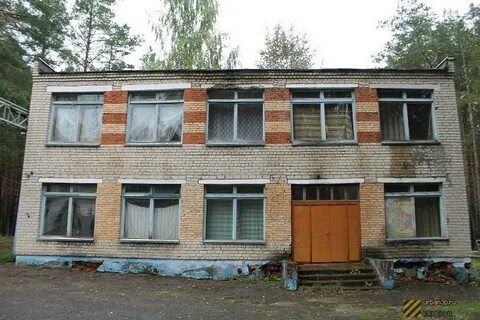 Сосновый бор пионерский