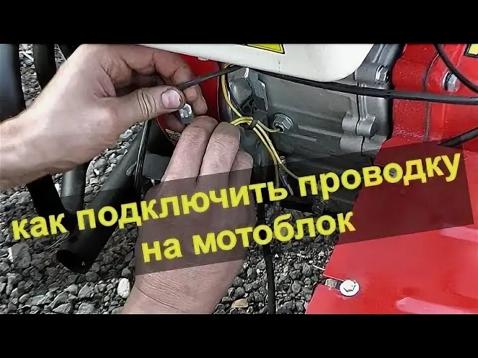 Мотособаки - общие вопросы - Просмотр темы * На Севере