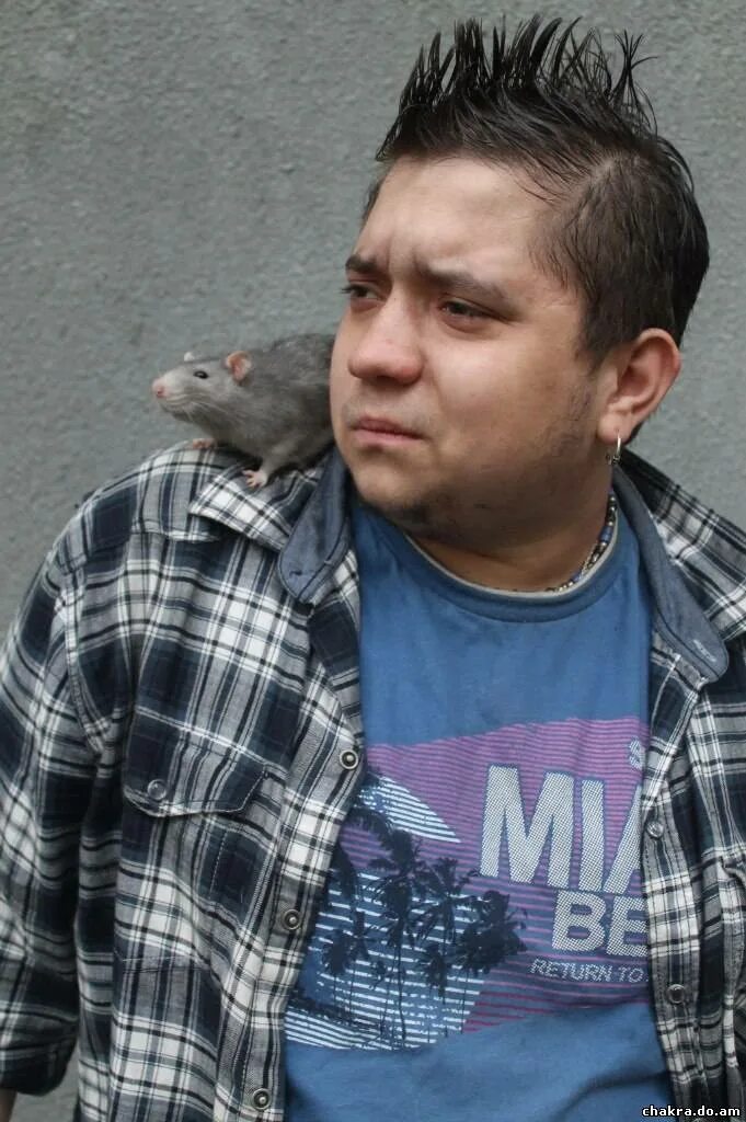 Педин битва экстрасенсов. Педин битва экстрасенсов. Педин битва экстрасенсов. Педин битва экстрасенсов. Педин битва экстрасенсов.