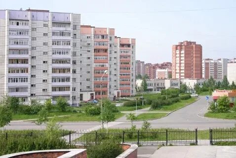 Еду г лесной