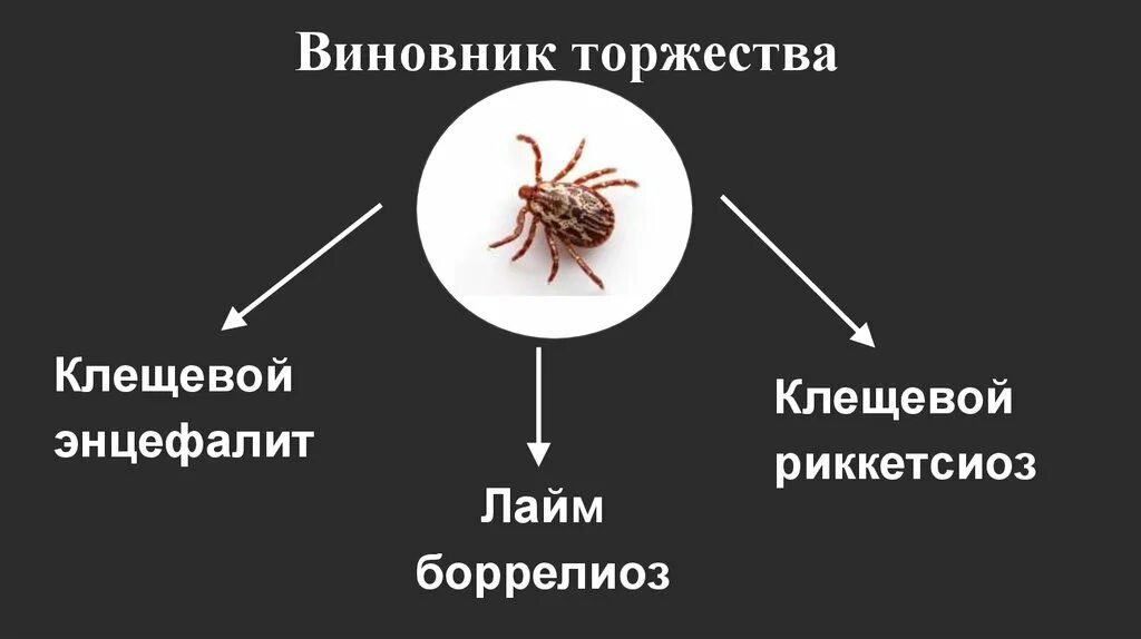 Клещевой боррелиоз возбудитель микроскоп. Клещевой риккетсиоз этиология. Клещевой энцефалит мкб 10