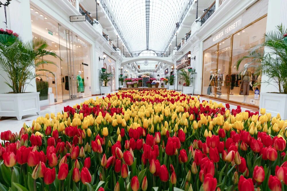 Петровский Пассаж Москва цветы. Петровский Пассаж цветочный базар. Петровский Пассаж в Москве тюльпаны. Пассаж выставка цветов