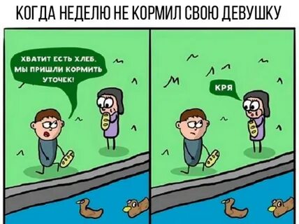 Приходить кормить