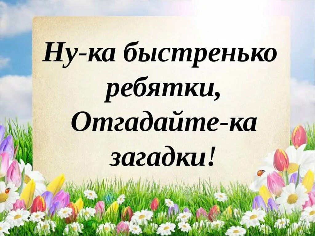 Д и отгадай загадку. Загадки. загадки презентация. отгадайте ка загадки. красивая картинка для презентации загадки.