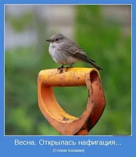Это к весне