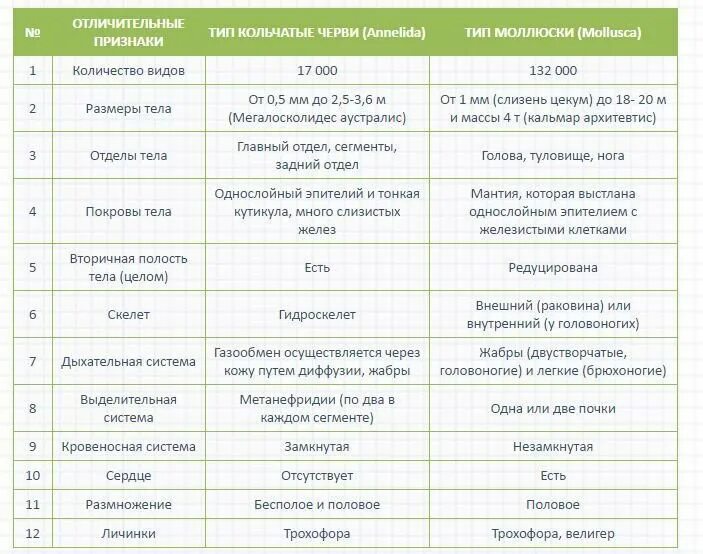 Сравнение строения червей. Таблица сравнительная характеристика кольчатых червей и моллюсков. Характеристика классов кольчатых червей таблица 7 класс. Сравнительная характеристика кольчатых червей и моллюсков 7 класс. Таблица сравнения кольчатых червей и моллюсков.