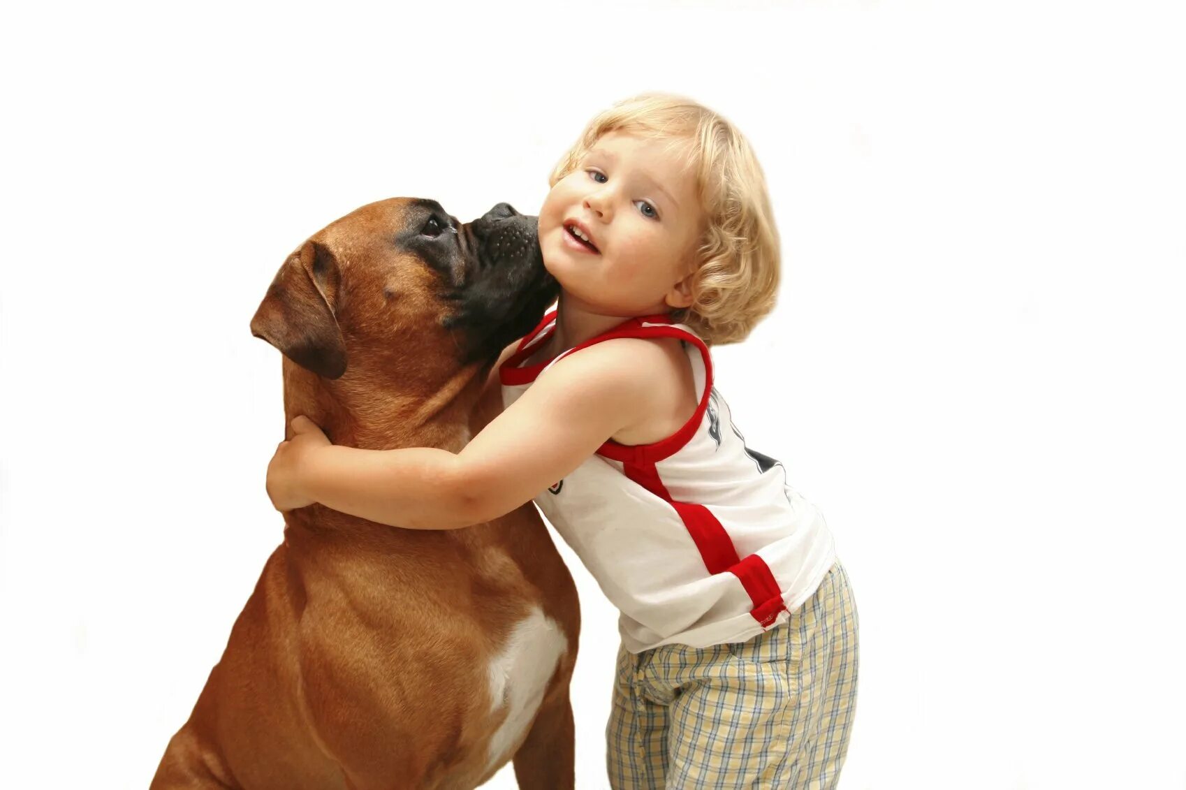 Дети живущие с животными. Домашние животные для детей. Домашние животные и человек. Собака для детей. Ребенок обнимает собаку.
