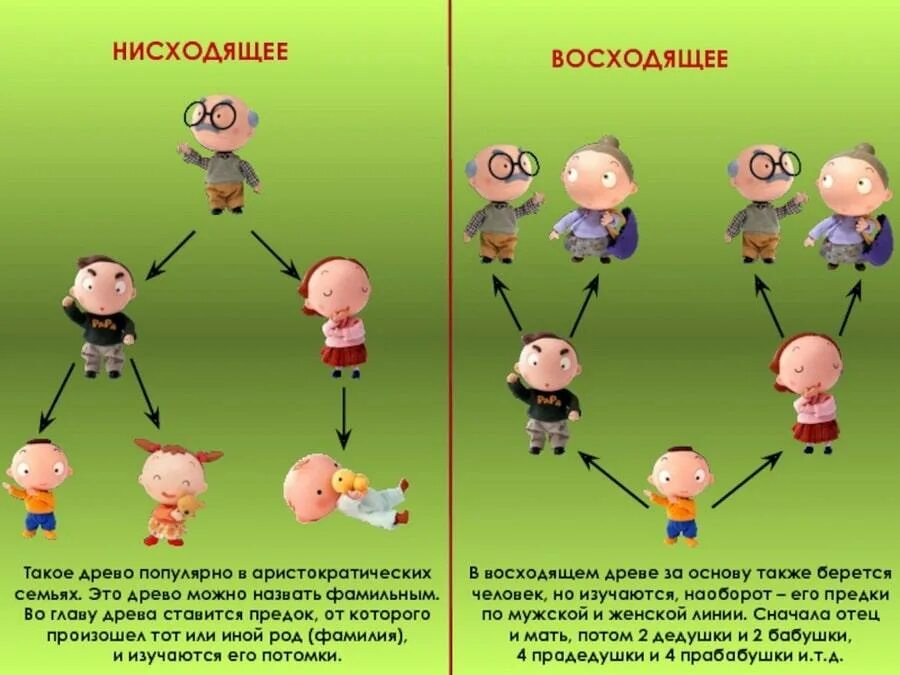 Родственниками родственниками по прямой восходящей. Нисходящее Древо. Восходящее и нисходящее родство. Семейное Древо восходящее нисходящее. Родословная восходящая и нисходящая.